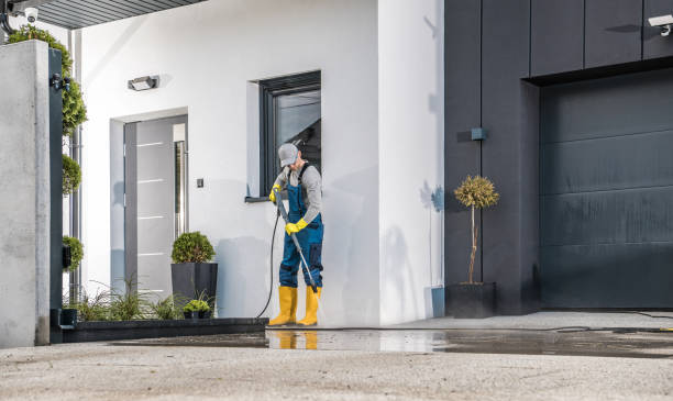 Best Spring Cleaning  in Genoa, IL